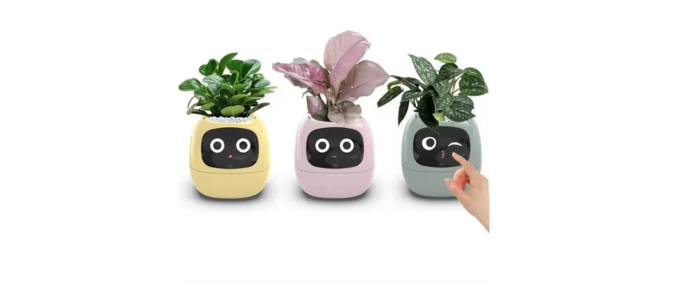 High-Tech Gardening Made Easy: The Ivy Smart Planter Experience