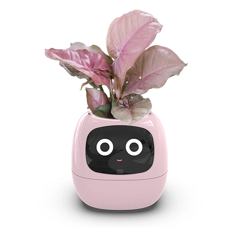 Smart Small Flower Pot