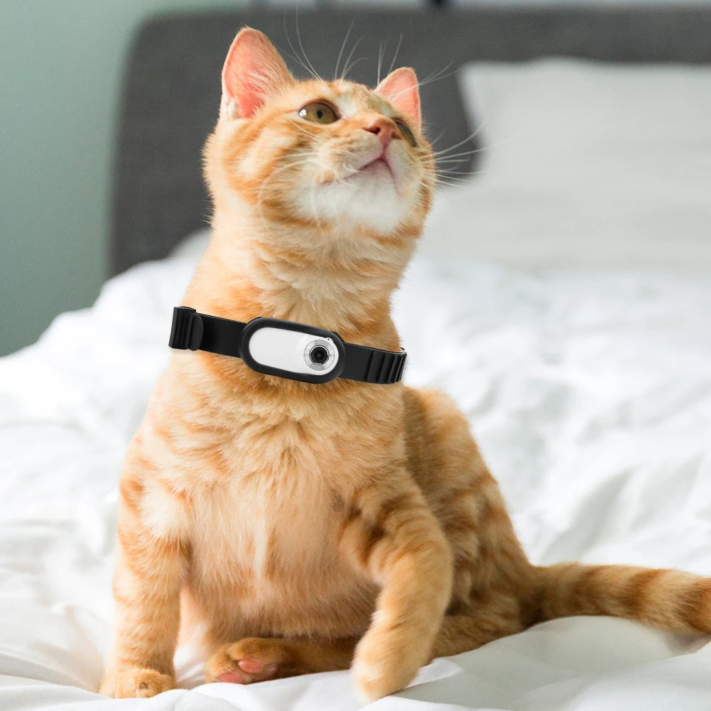 Camera Collar for Cats & Dogs